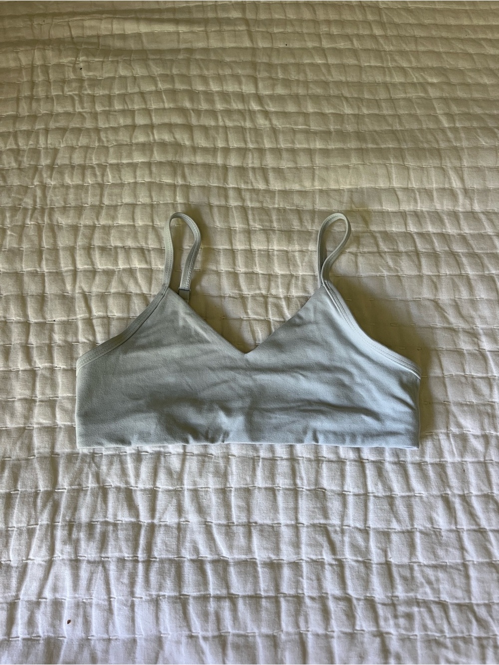 Aritzia light blue bra